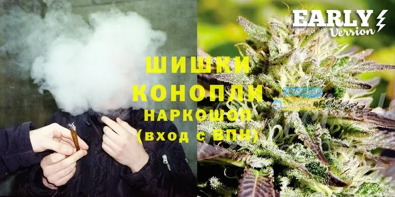 Конопля THC 21%  где можно купить   Нестеровская 